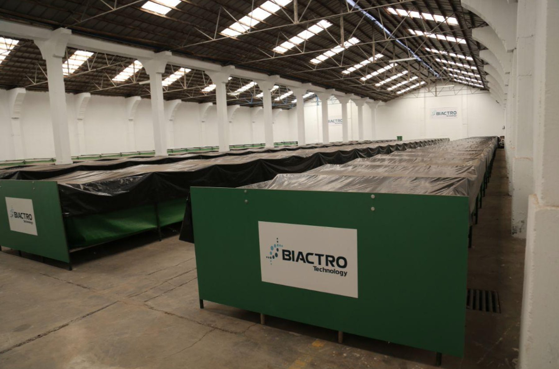 Biactro growing beds filled with regenerated substrate