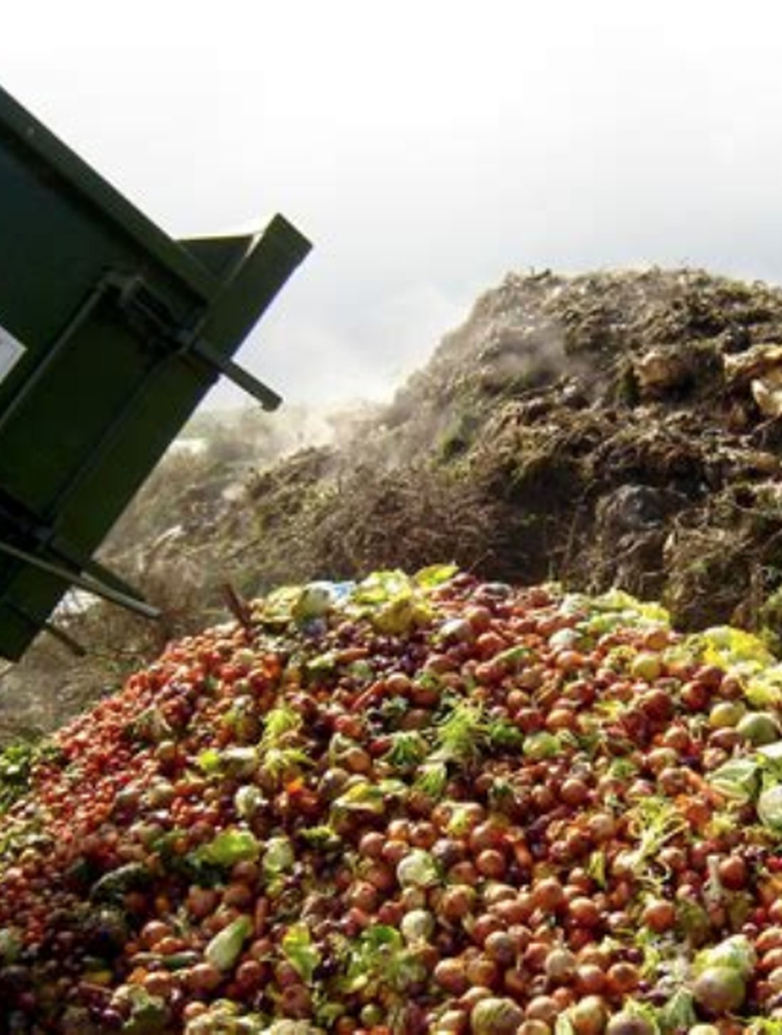 Mixed organic residues piled in the open, decomposing
